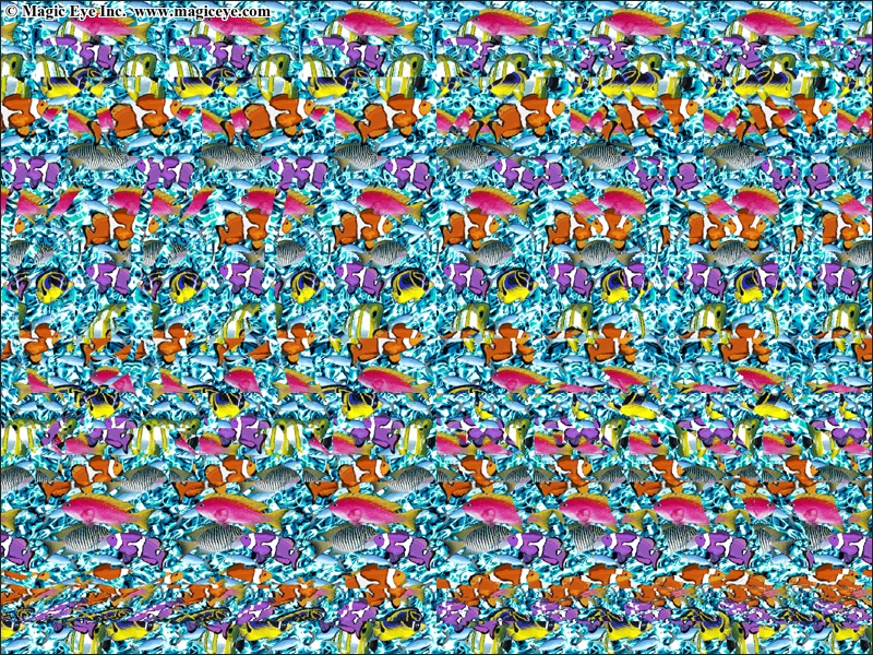 Through The Hoop Magic Eye